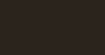 Dark Bronze standing seam color