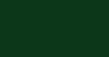Evergreen standing seam color