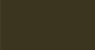 Mansard Brown standing seam color